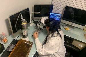 Laboratory work